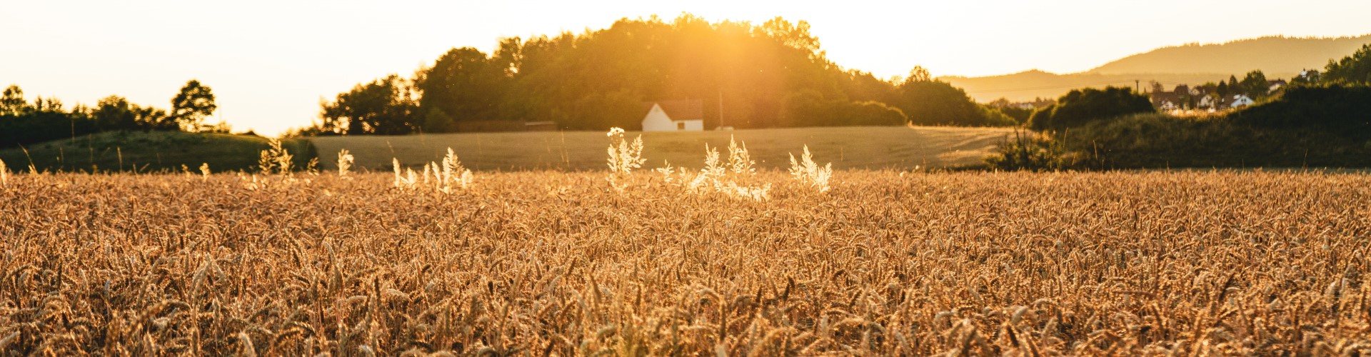 Shipping Agricultural Products in Canada Canaan Group