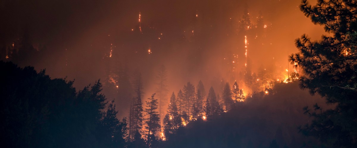 Featured image for “Forest Fires Impacting B.C. Terminals (Logistics News – July 2021)”