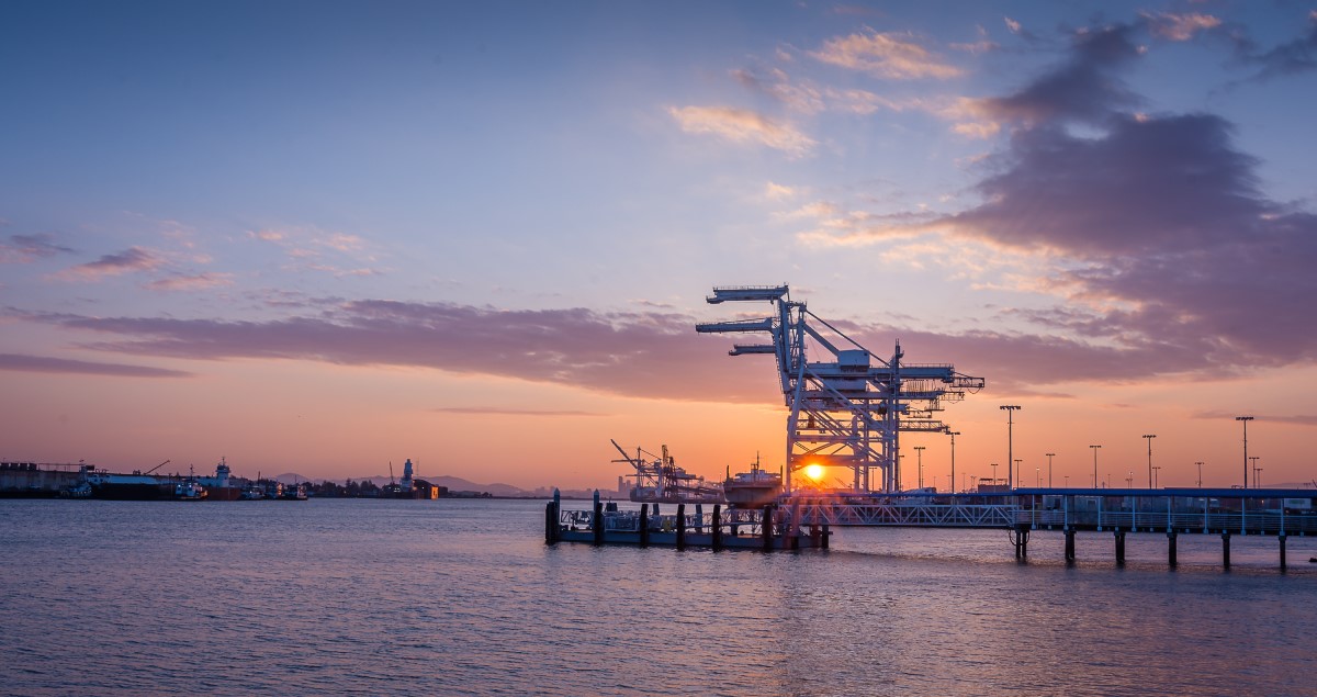 Featured image for “West Coast Ports Labour Update – Wed, June 14”