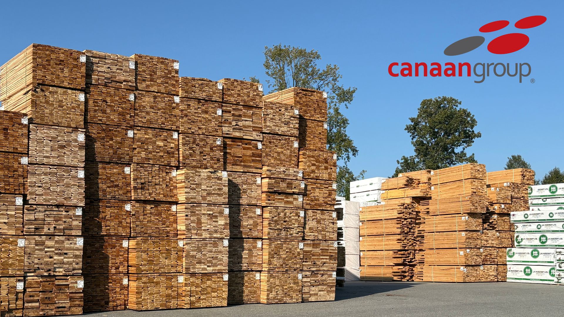 Featured image for “Standing Strong with B.C.’s Lumber Industry: Insights from the Global Buyers Mission”